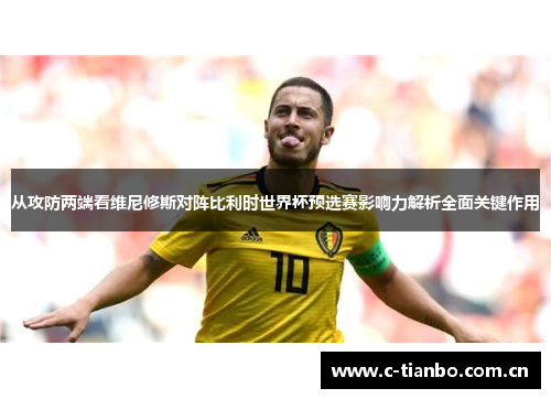 从攻防两端看维尼修斯对阵比利时世界杯预选赛影响力解析全面关键作用