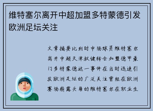 维特塞尔离开中超加盟多特蒙德引发欧洲足坛关注